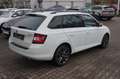Skoda Fabia Fabia Combi Ambition*BI-XENON*PDC*ALU*SHZ* Wit - thumbnail 4