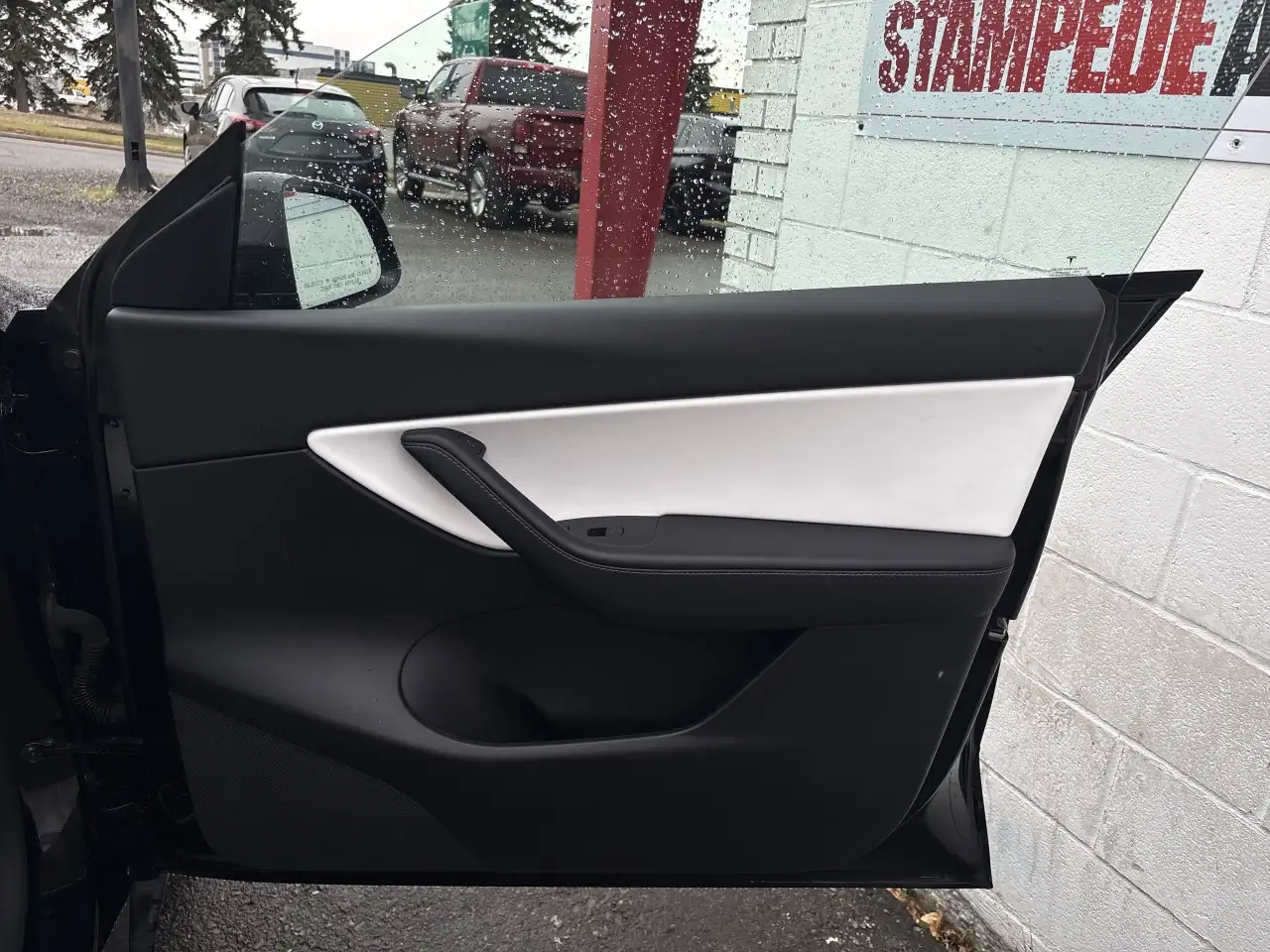 Tesla Model Y снимка Tesla Model Y
