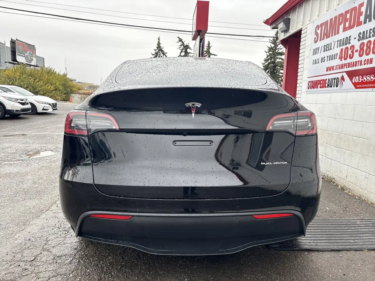 Tesla Model Y снимка Tesla Model Y