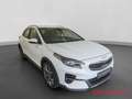Kia XCeed Spirit PHEV 1.6 Techno-Paket Sitz-Komfort-Paket Na Weiß - thumbnail 6
