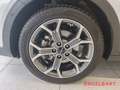 Kia XCeed Spirit PHEV 1.6 Techno-Paket Sitz-Komfort-Paket Na Blanco - thumbnail 15
