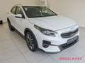 Kia XCeed Spirit PHEV 1.6 Techno-Paket Sitz-Komfort-Paket Na Blanco - thumbnail 6