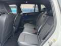 Volkswagen Tiguan 2.0 TDI Goal 4Motion Navi+Pano+Keyless+++ Weiß - thumbnail 11
