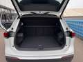 Volkswagen Tiguan 2.0 TDI Goal 4Motion Navi+Pano+Keyless+++ Weiß - thumbnail 12