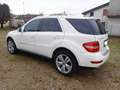 Mercedes-Benz ML 350 ML 350 4 MATIC SPORT Bianco - thumbnail 3