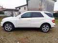 Mercedes-Benz ML 350 ML 350 4 MATIC SPORT Bianco - thumbnail 7