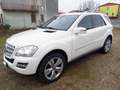 Mercedes-Benz ML 350 ML 350 4 MATIC SPORT Bianco - thumbnail 2