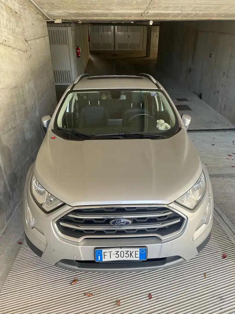 Ford EcoSport 1.0 ecoboost Titanium 100cv Argento - 2