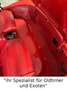 Corvette C1 4 Gang Schaltgetriebe im Topzustand Rouge - thumbnail 12