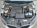 Skoda Fabia III Wagon Wagon 1.4 tdi (Neopatentati) Grigio - thumbnail 12