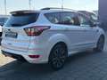 Ford Kuga ST-Line/Pano/SYNC3/HeckklElek/LenkHeiz/12VAnschl Weiß - thumbnail 8