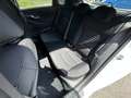 Hyundai i30 1,5 DPI Go! Plus Weiß - thumbnail 22