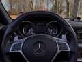 Mercedes-Benz E 55 AMG SLK 5.5 SLK 55 AMG Roadster Edition 1 Gris - thumbnail 14