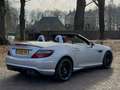 Mercedes-Benz E 55 AMG SLK 5.5 SLK 55 AMG Roadster Edition 1 Gris - thumbnail 19
