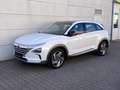 Hyundai NEXO Premium Krell GEWERBE EXPORT Sound Gsd 360Kam Totw Blanc - thumbnail 2