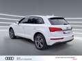 Audi Q5 40 TFSI qu S line NAVI LED Kam. 20" advanced Weiß - thumbnail 5