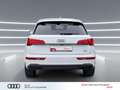 Audi Q5 40 TFSI qu S line NAVI LED Kam. 20" advanced Weiß - thumbnail 6