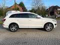 Audi Q7 3.0 TDI quattro 2HD Leder AHK 2HD Xenon-Plus Weiß - thumbnail 5