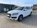 Audi Q7 3.0 TDI quattro 2HD Leder AHK 2HD Xenon-Plus Weiß - thumbnail 1