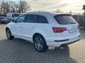 Audi Q7 3.0 TDI quattro 2HD Leder AHK 2HD Xenon-Plus Weiß - thumbnail 8