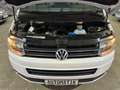 Volkswagen T5 Multivan DSG Edition 25 4Motion*LEDER*AHK*NAV Weiß - thumbnail 31