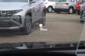 Volkswagen Arteon 2.0 TDI R-Line 4M*ST.HZG*MATRIX*AHK*360°*HuD*PANO* Grau - thumbnail 23