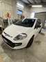 Fiat Punto Evo 5p 1.3 mjt Sport s&s 95cv - thumbnail 3