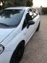 Fiat Punto Evo 5p 1.3 mjt Sport s&s 95cv - thumbnail 8