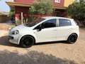Fiat Punto Evo 5p 1.3 mjt Sport s&s 95cv - thumbnail 14