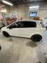 Fiat Punto Evo 5p 1.3 mjt Sport s&s 95cv - thumbnail 4