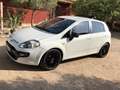 Fiat Punto Evo 5p 1.3 mjt Sport s&s 95cv - thumbnail 15