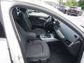 Audi A6 Avant 2,0 TDI ultra intense *MATRIX+NAVI+18"ALU* Bílá - thumbnail 9