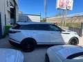 Land Rover Range Rover Velar 3.0D V6 300CH AWD BVA Weiß - thumbnail 14