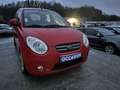 Kia Picanto 1.0 MOTION Rouge - thumbnail 1