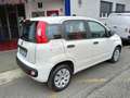 Fiat Panda 1.2 Pop CLIMA BEN TENUTA POCHI KM Bianco - thumbnail 3
