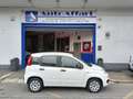 Fiat Panda 1.2 Pop CLIMA BEN TENUTA POCHI KM Bianco - thumbnail 2