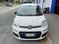 Fiat Panda 1.2 Pop CLIMA BEN TENUTA POCHI KM Bianco - thumbnail 8