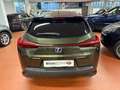 Lexus UX 250h Hybrid Executive *OFFERTA PROMOFIN * Verde - thumbnail 6