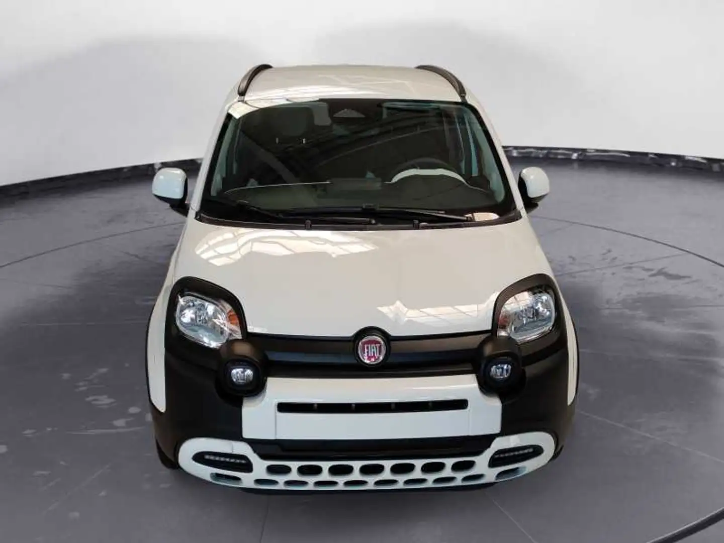 Fiat Panda My25 1.0 70cv Hybrid Pandina Blanc - 2