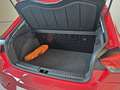 SEAT Ibiza Ibiza 1.0 TGI 5 porte Reference Rosso - thumbnail 6