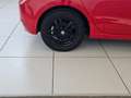 SEAT Ibiza Ibiza 1.0 TGI 5 porte Reference Rosso - thumbnail 5