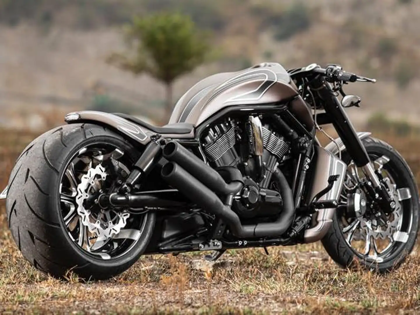 Harley-Davidson V-Rod V rod muscle - 2