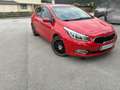 Kia Ceed / cee'd cee'd 1,4 CRDi Cool Österreich Paket Rot - thumbnail 1
