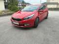 Kia Ceed / cee'd cee'd 1,4 CRDi Cool Österreich Paket Rot - thumbnail 3