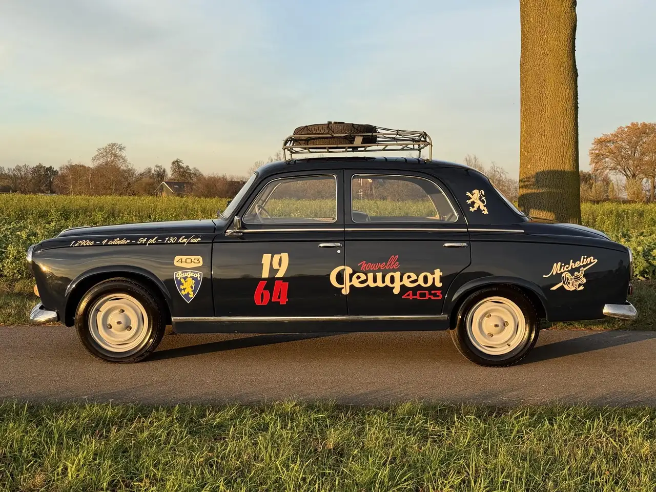 Peugeot 403 b7, foto 8