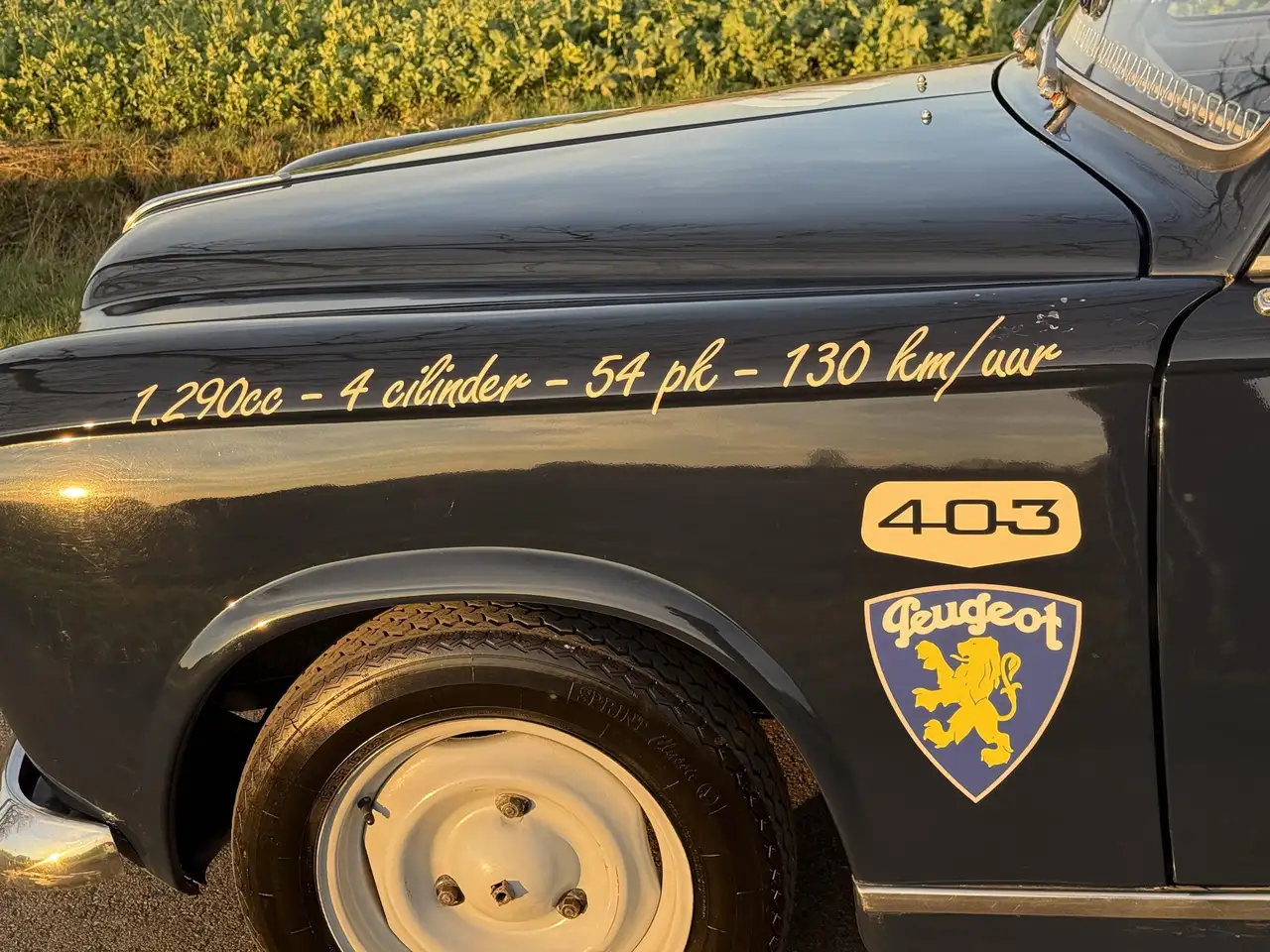 Peugeot 403 b7, foto 10