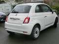 Fiat 500 1.0 Hybrid /NAVIGATION,KLIMA,TEL,LMF,PDC Weiß - thumbnail 4