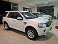 Land Rover Freelander 2.2 TD4 150CV Auto Restyling HSE Autocarro Wit - thumbnail 3