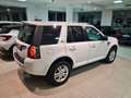 Land Rover Freelander 2.2 TD4 150CV Auto Restyling HSE Autocarro Wit - thumbnail 4