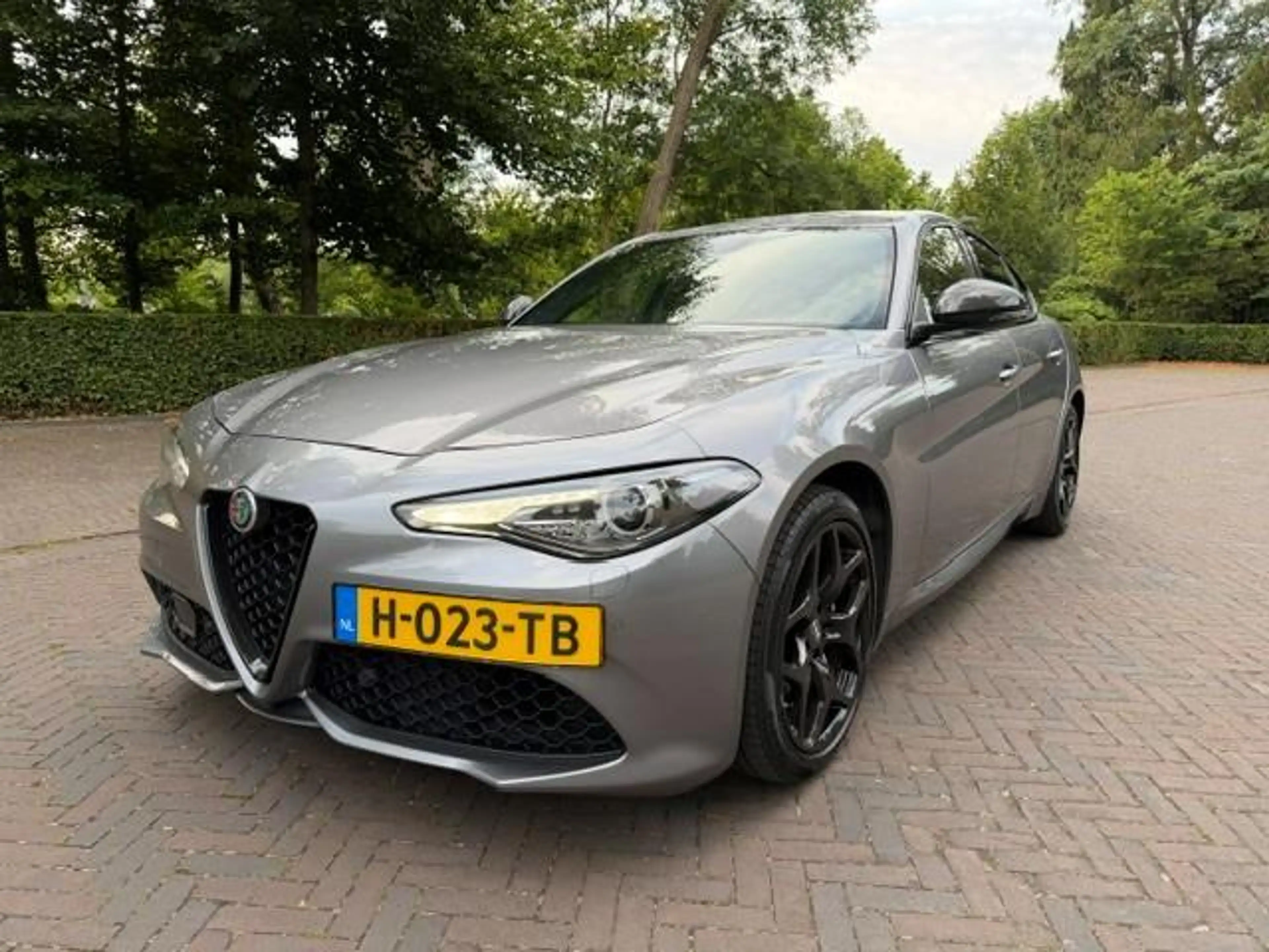 Alfa Romeo Giulia 2.0T Super/Camera/Leer/Xenon/led/Nav/18inch